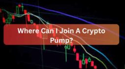 Where Can I Join A Crypto Pump