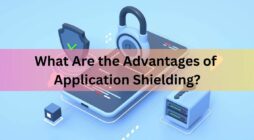 What Are the Advantages of Application Shielding